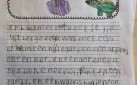 Een van de ICT-Leskisten gaat over het maken van filmpjes. Lees dit leuke verslag van een workshop die kinderen volgden op de Antoniuslocaties in Schagen en Den Helder